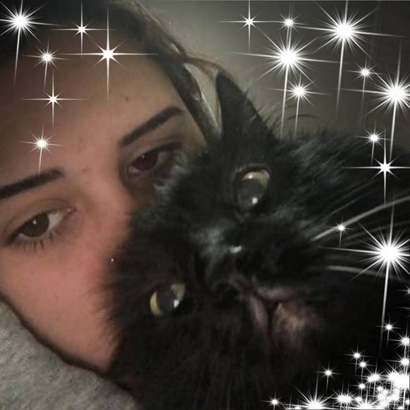 Meet your Posher, Dakota - Picture 1 of 1